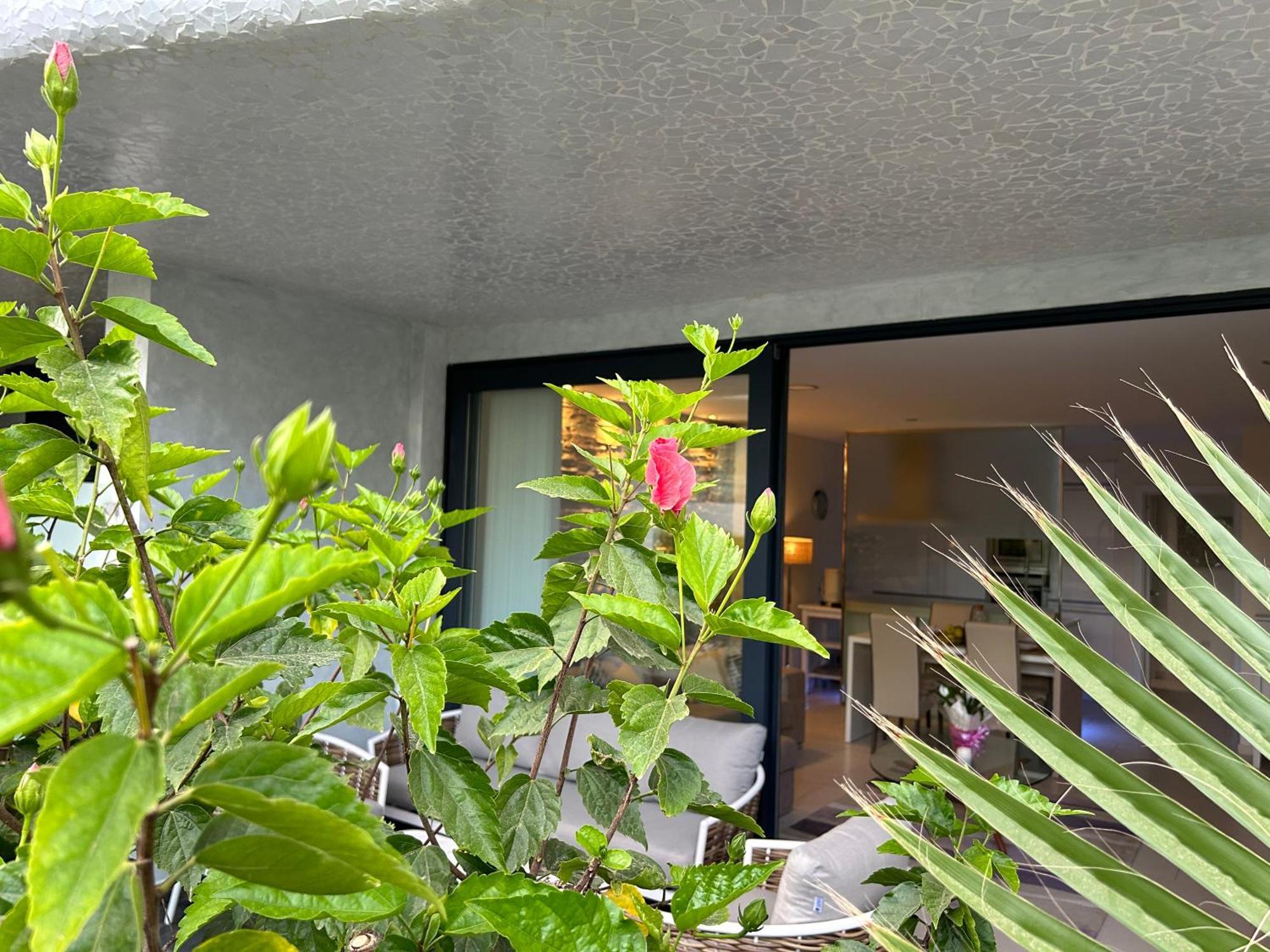 Ville Las Olas ปาล์ม-มาร์ ภายนอก รูปภาพ